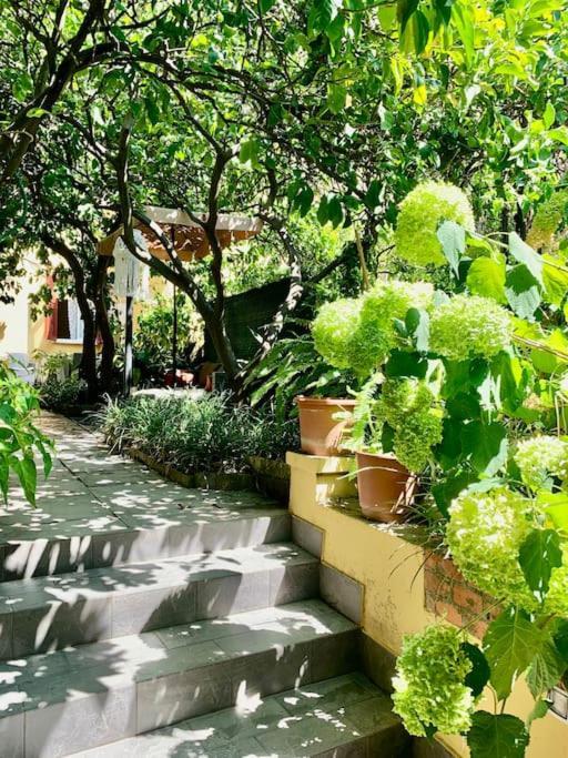 Apartamento Casa Adele Monterosso al Mare Exterior foto